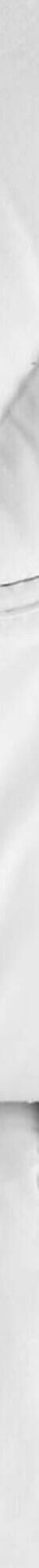 Couette coton biologique** 300 g/m² grand confort (blanc) Couette coton biologique** 300 g/m² grand confort (blanc)